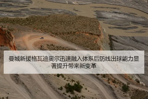 曼城新援格瓦迪奥尔迅速融入体系后防线出球能力显著提升带来新变革